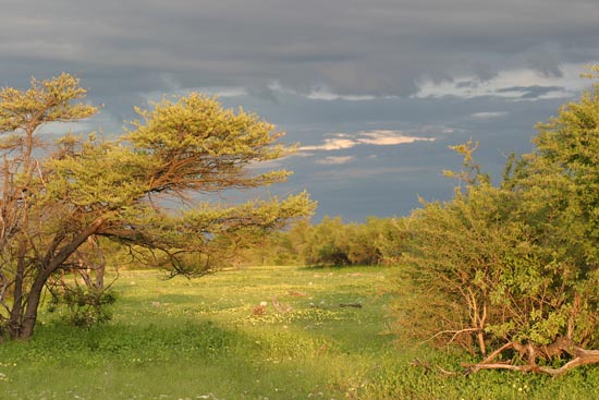 063.Landschaft nach Regenfall